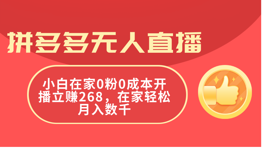 (11521期)拼多多无人直播,小白在家0粉0成本开播立赚268,在家轻松月入数千-大象聊项目