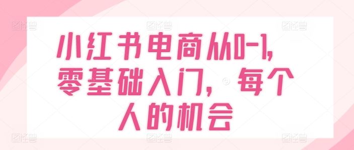 小红书电商从0-1,零基础入门,每个人的机会-大象聊项目