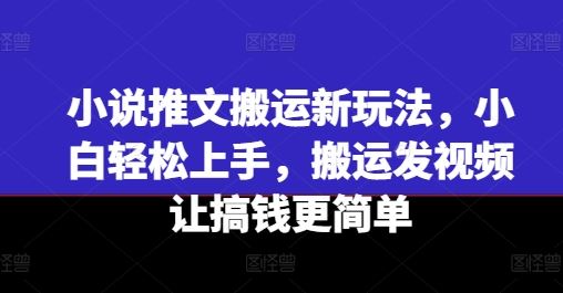 小说推文搬运新玩法，小白轻松上手，搬运发视频让搞钱更简单-大象聊项目