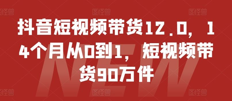 抖音短视频带货12.0，14个月从0到1，短视频带货90万件-大象聊项目