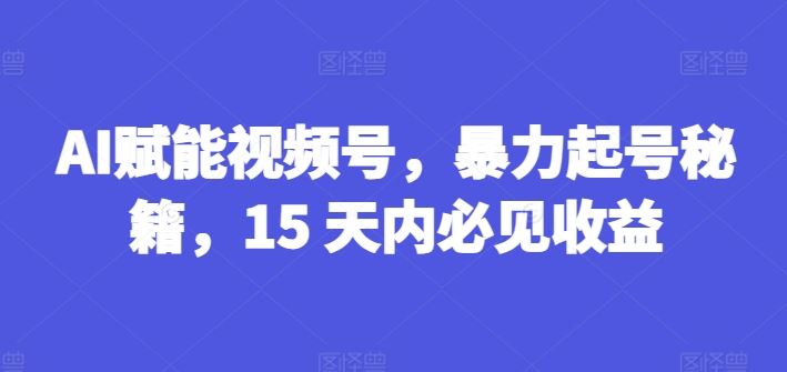 AI赋能视频号，暴力起号秘籍，15 天内必见收益【揭秘】-大象聊项目