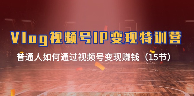 （11654期）Vlog 视频号IP变现特训营，普通人如何通过视频号变现赚钱（15节）-大象聊项目