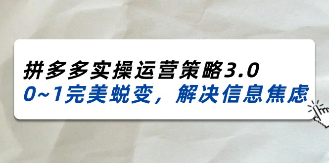 （11658期）2024_2025拼多多实操运营策略3.0，0~1完美蜕变，解决信息焦虑（38节）-大象聊项目