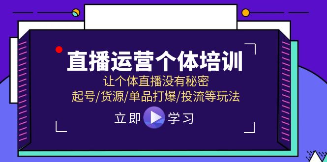 直播运营个体培训，让个体直播没有秘密，起号/货源/单品打爆/投流等玩法-大象聊项目