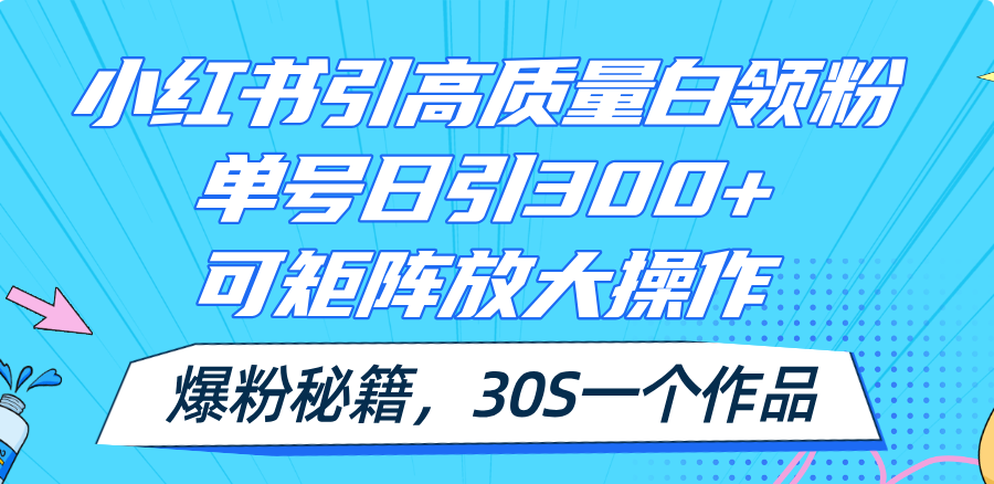 (11692期)小红书引高质量白领粉,单号日引300+,可放大操作,爆粉秘籍!30s一个作品-大象聊项目