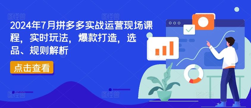 2024年7月拼多多实战运营现场课程，实时玩法，爆款打造，选品、规则解析-大象聊项目