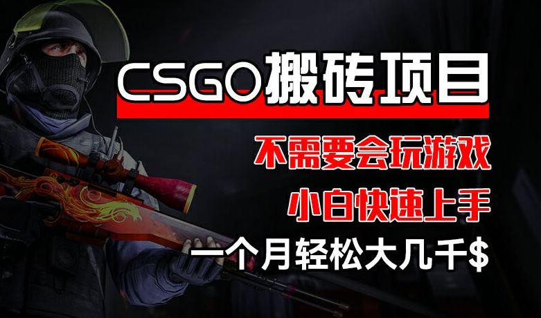 CSGO 装备搬砖项目，操作简单，不需要会玩游戏，小白也能快速上手，一个月轻松大几千【揭秘】-大象聊项目