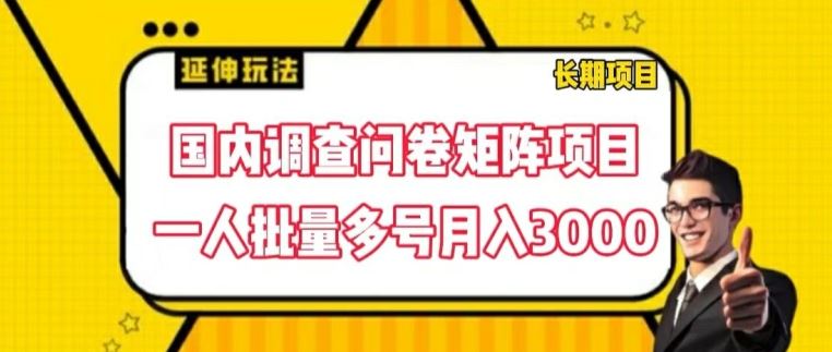 国内调查问卷矩阵项目，一人批量多号月入3000【揭秘】-大象聊项目