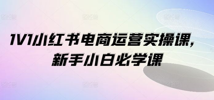 1V1小红书电商运营实操课，新手小白必学课-大象聊项目