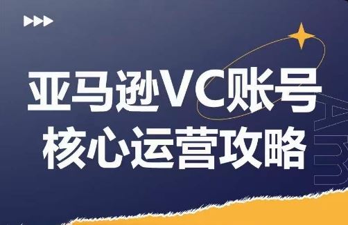 亚马逊VC账号核心玩法解析，实战经验拆解产品模块运营技巧，提升店铺GMV，有效提升运营利润-大象聊项目