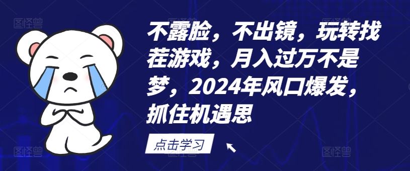 不露脸，不出镜，玩转找茬游戏，月入过万不是梦，2024年风口爆发，抓住机遇【揭秘】-大象聊项目