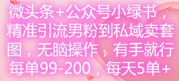 微头条+公众号小绿书,精准引流男粉到私域卖套图,无脑操作,有手就行,每单99-200,每天5单-大象聊项目