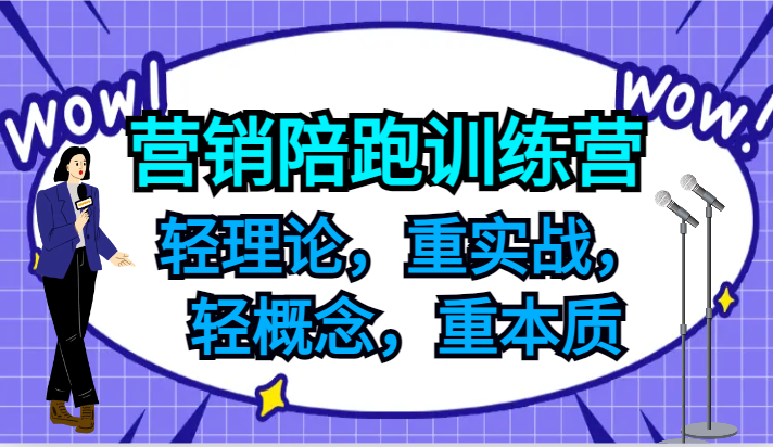 营销陪跑训练营，轻理论，重实战，轻概念，重本质，适合中小企业和初创企业的老板-大象聊项目