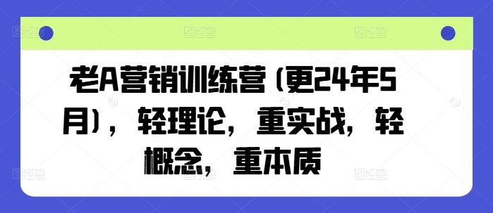 老A营销训练营(更24年7月),轻理论,重实战,轻概念,重本质-大象聊项目