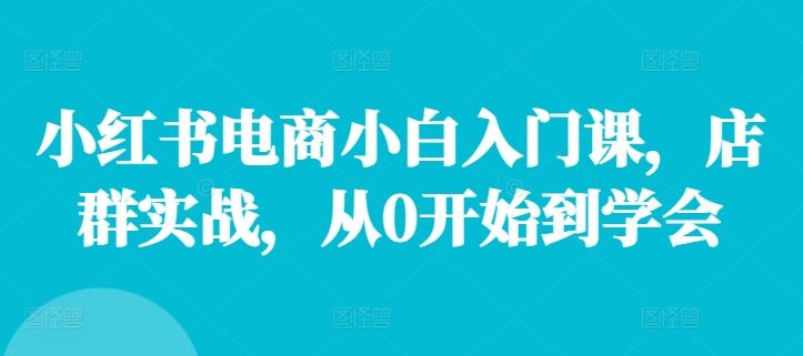 小红书电商小白入门课,店群实战,从0开始到学会-大象聊项目