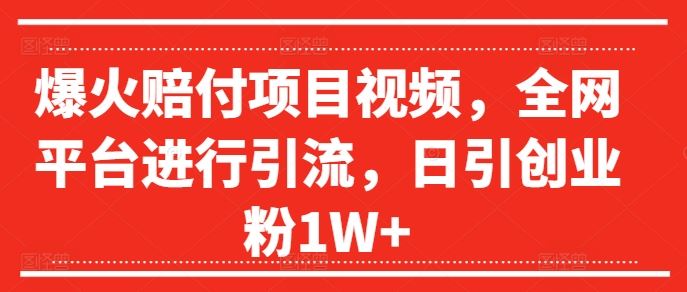 爆火赔付项目视频，全网平台进行引流，日引创业粉1W+【揭秘】-大象聊项目