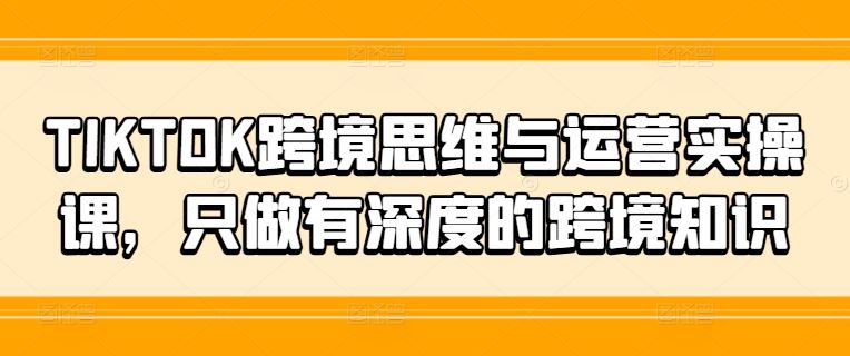 TIKTOK跨境思维与运营实操课，只做有深度的跨境知识-大象聊项目