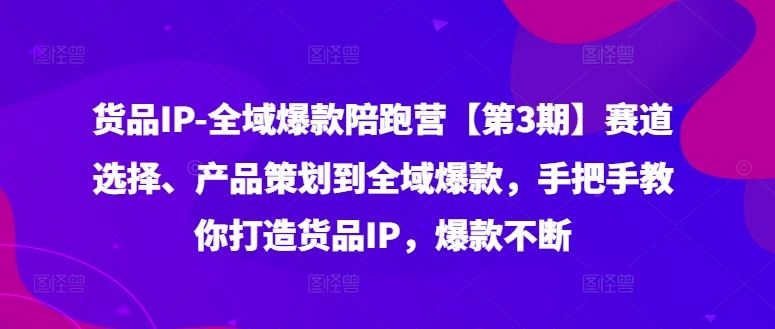 货品IP全域爆款陪跑营【第3期】赛道选择、产品策划到全域爆款，手把手教你打造货品IP，爆款不断-大象聊项目