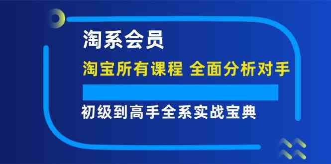 淘系会员初级到高手全系实战宝典【淘宝所有课程，全面分析对手】-大象聊项目