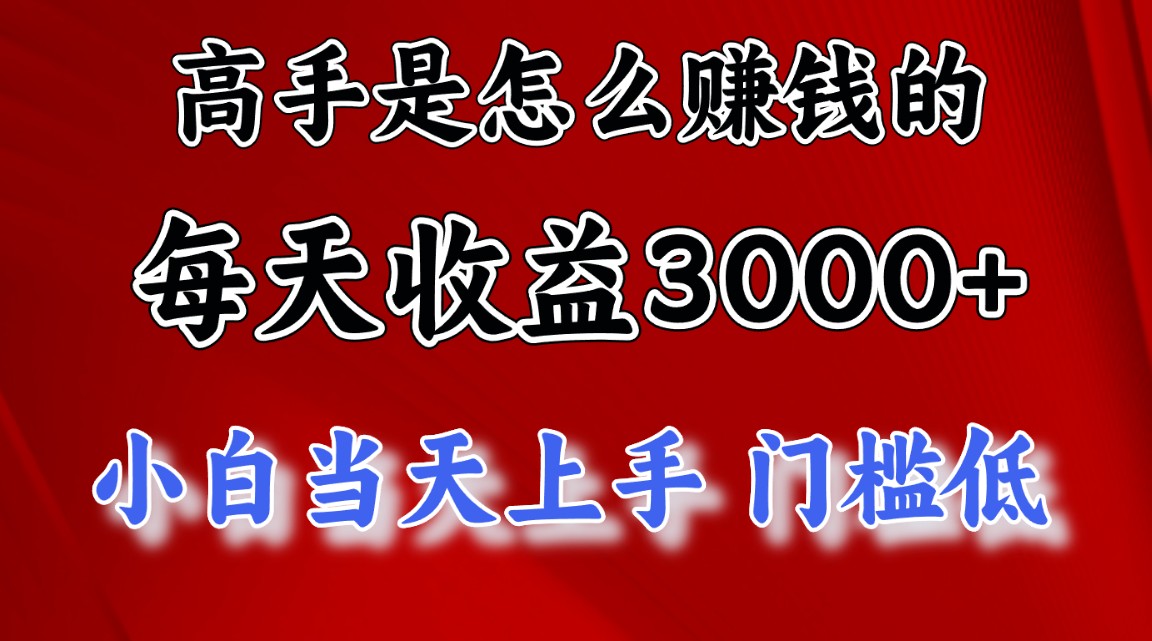 （12144期）1天收益3000+，月收益10万以上，24年8月份爆火项目-大象聊项目