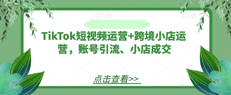 TikTok短视频运营+跨境小店运营，账号引流、小店成交-大象聊项目