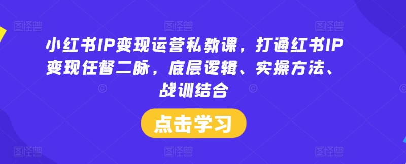 小红书IP变现运营私教课，打通红书IP变现任督二脉，底层逻辑、实操方法、战训结合-大象聊项目
