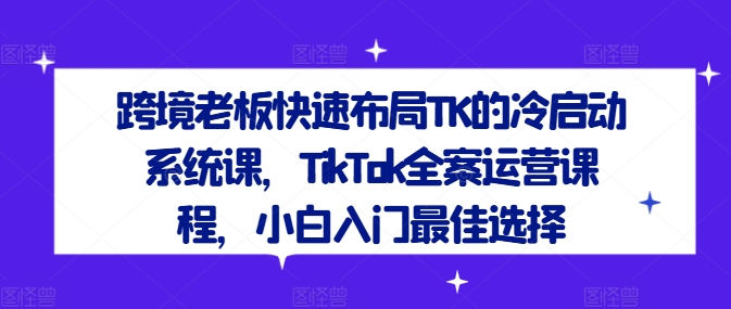 跨境老板快速布局TK的冷启动系统课，TikTok全案运营课程，小白入门最佳选择-大象聊项目