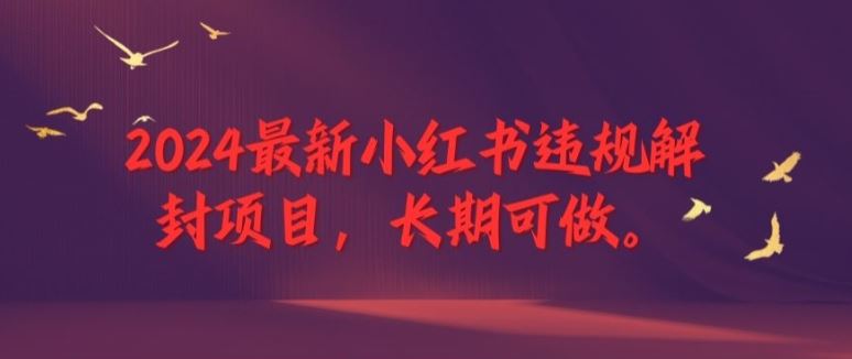 2024最新小红书违规解封项目，长期可做，一个可以做到退休的项目【揭秘】-大象聊项目