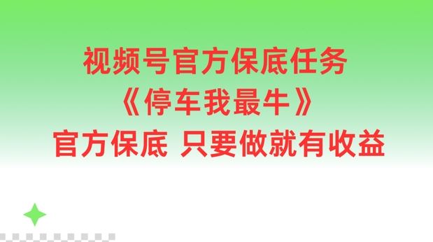 视频号官方保底任务，停车我最牛，官方保底只要做就有收益【揭秘】-大象聊项目