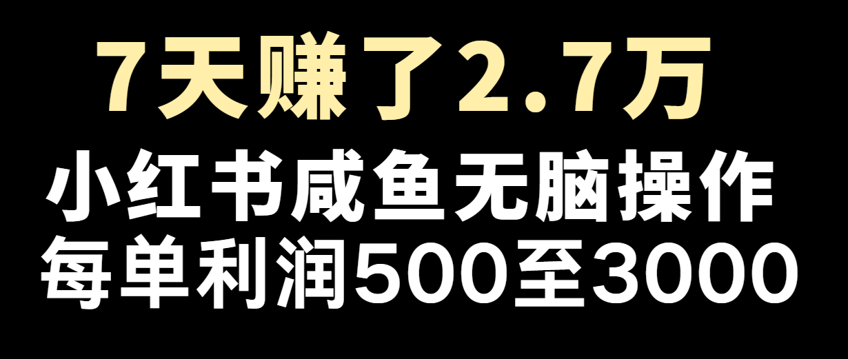 七天赚了2.7万！每单利润最少500+，轻松月入5万+小白有手就行-大象聊项目