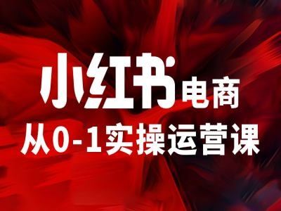 小红书电商从0-1实操运营课，让你从小白到精英-大象聊项目