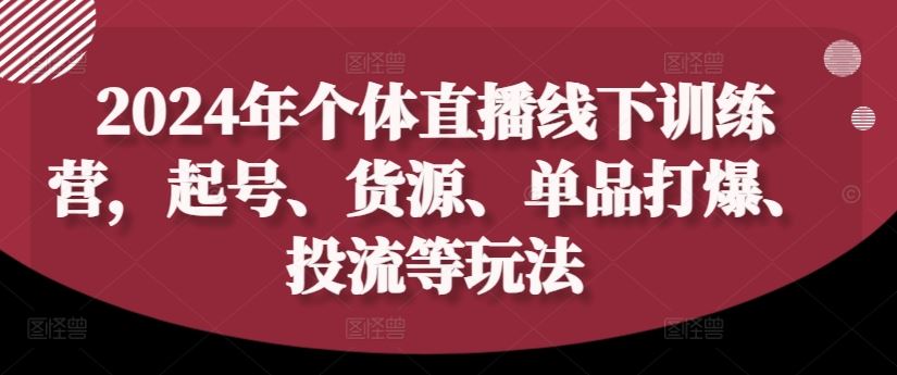 2024年个体直播训练营，起号、货源、单品打爆、投流等玩法-大象聊项目