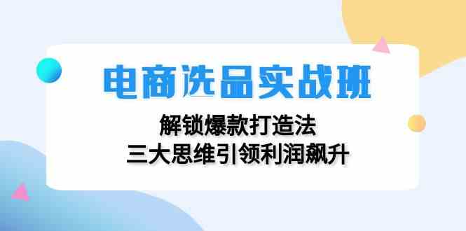 电商选品实战班：解锁爆款打造法，三大思维引领利润飙升-大象聊项目