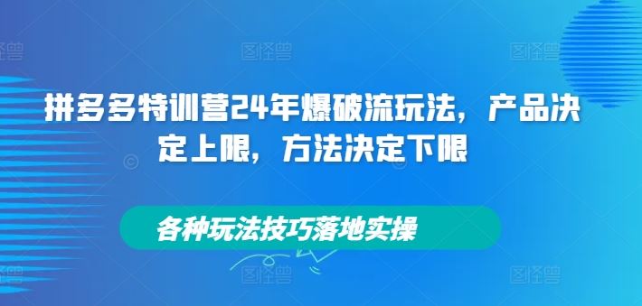 拼多多特训营24年爆破流玩法，产品决定上限，方法决定下限，各种玩法技巧落地实操-大象聊项目