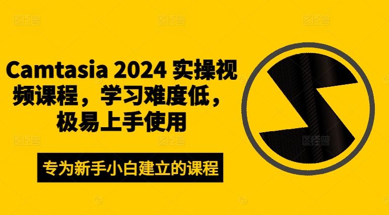 Camtasia 2024 实操视频课程，学习难度低，极易上手使用-大象聊项目