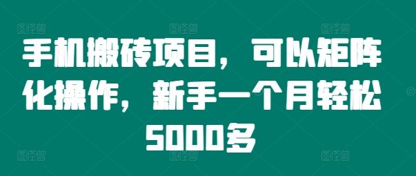 手机搬砖项目，可以矩阵化操作，新手一个月轻松5000多-大象聊项目