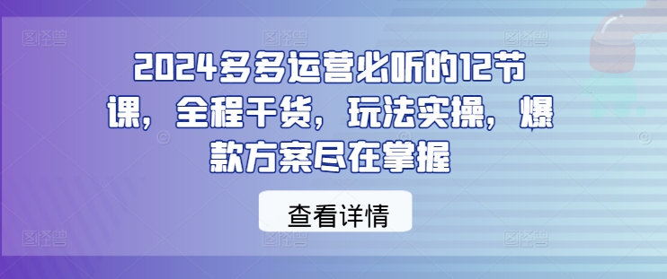 2024多多运营必听的12节课，全程干货，玩法实操，爆款方案尽在掌握-大象聊项目