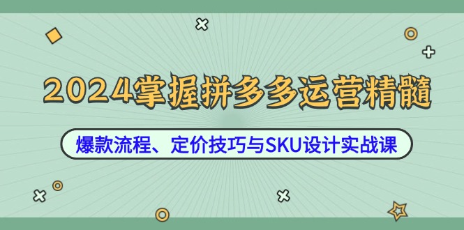 2024掌握拼多多运营精髓：爆款流程、定价技巧与SKU设计实战课-大象聊项目