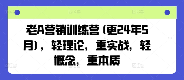 老A营销训练营(更24年9月),轻理论,重实战,轻概念,重本质-大象聊项目