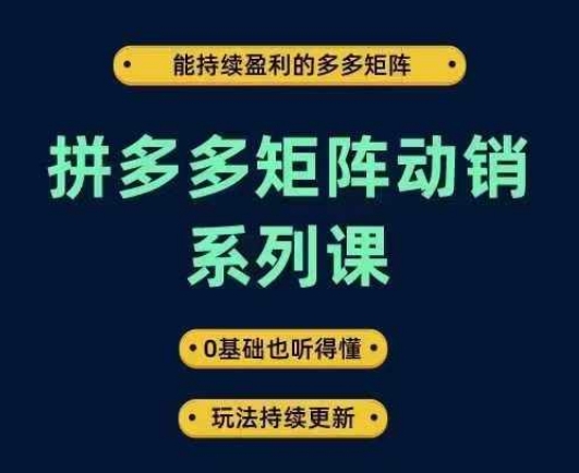 拼多多矩阵动销系列课，能持续盈利的多多矩阵，0基础也听得懂，玩法持续更新-大象聊项目