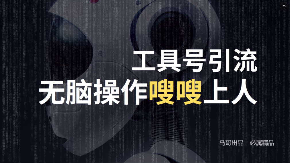 24年抖音最新工具号日引流300+创业粉，日入5000+-大象聊项目