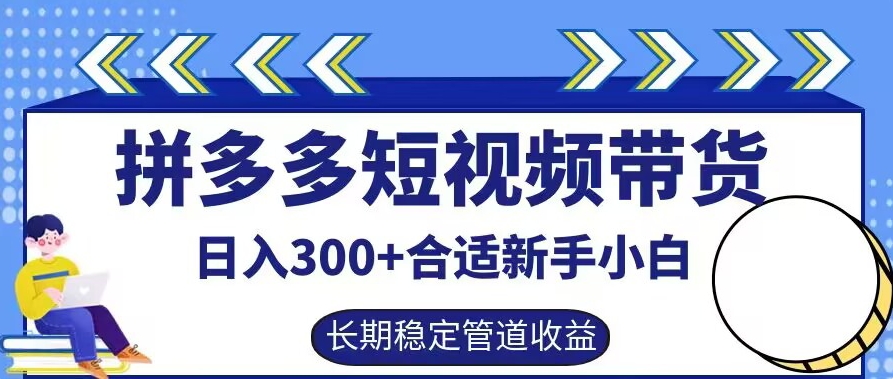 拼多多短视频带货日入300+有长期稳定被动收益，合适新手小白【揭秘】-大象聊项目