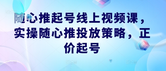 随心推起号线上视频课，实操随心推投放策略，正价起号-大象聊项目