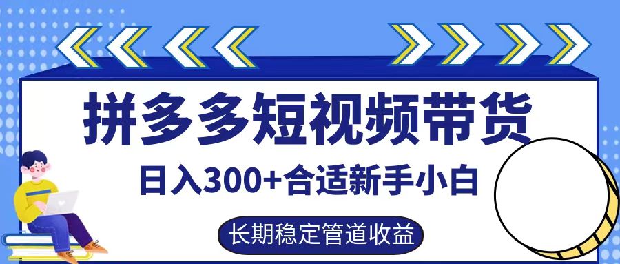 拼多多短视频带货日入300+，实操账户展示看就能学会-大象聊项目