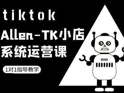 TK小店系统运营课-tiktok跨境电商教程-大象聊项目