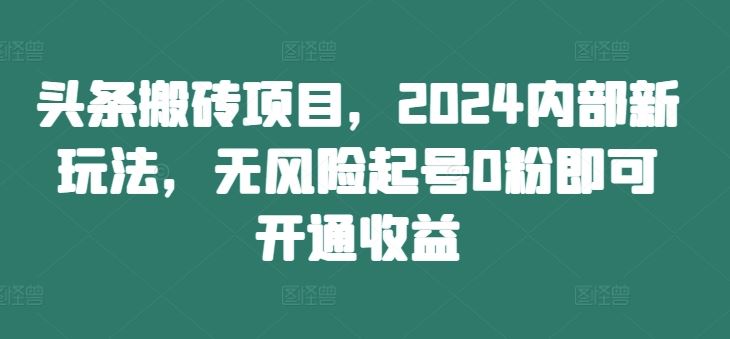 头条搬砖项目，2024内部新玩法，无风险起号0粉即可开通收益-大象聊项目