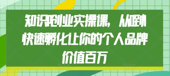 知识IP创业实操课，从0到1快速孵化让你的个人品牌价值百万-大象聊项目