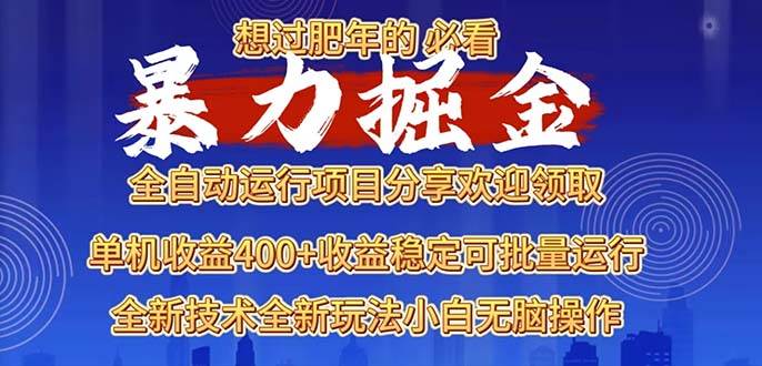 （13675期）2025暴力掘金项目，想过肥年必看！-大象聊项目