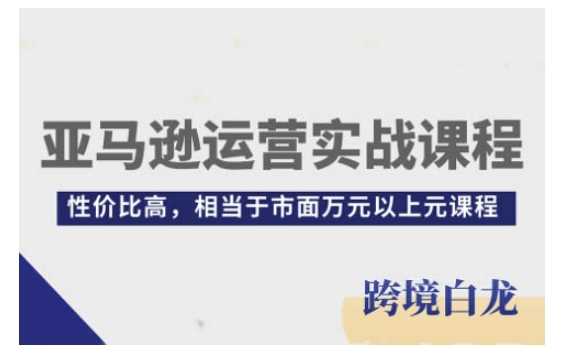 亚马逊运营实战课程，亚马逊从入门到精通，性价比高，相当于市面万元以上元课程-大象聊项目