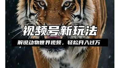 利用动物世界解说视频，赚分成计划收益，轻松月入过W，操作简单【揭秘】-大象聊项目